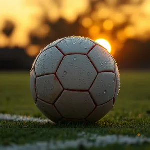good morning brother images HD pic photo featuring elegant sunrise behind with morning dew on football or cricket ball (sport symbol - good morning brother images)
