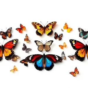 captivating morning rainbow of butterfly species on white background - good morning butterfly images — good morning butterfly images wishes wallpaper