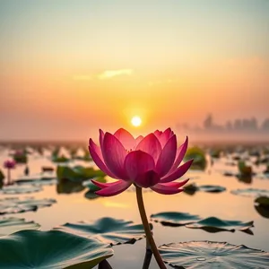 good morning durga images wallpaper graphic featuring elegant divine beauty in power - good morning durga images with red lotus opening at sunrise on sacred pond