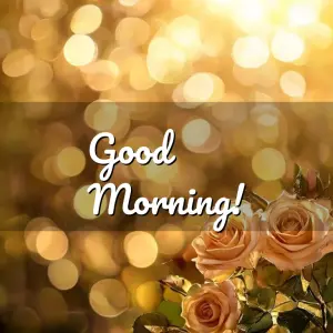 good morning friday images - beautiful morning image 003 - free HD download