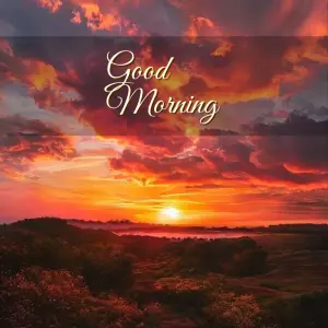 good morning friday images - beautiful morning image 007 - free HD download