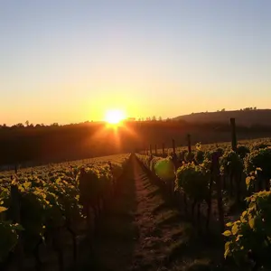 good morning friday images - beautiful morning image 043 - free HD download