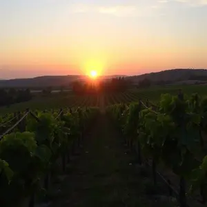 good morning friday images - beautiful morning image 044 - free HD download