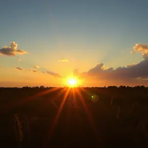 good morning friday images - beautiful morning image 049 - free HD download