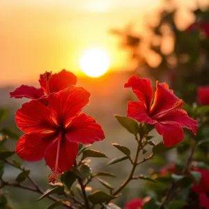 good morning ganesh images - beautiful morning image 007 - free HD download