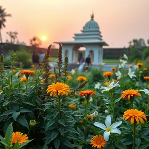 good morning god images - beautiful morning image 021 - free HD download