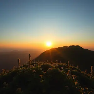 good morning hanuman images - beautiful morning image 039 - free HD download