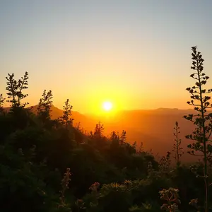 good morning hanuman images - beautiful morning image 040 - free HD download