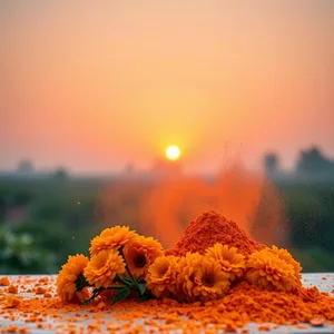good morning holi wishes with rainbow colors and festive morning joy - WhatsApp, uplifting good morning holi images image WhatsApp picture