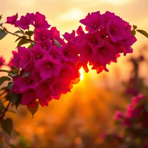 good morning holi images with colorful festival morning celebration - share free — lovely good morning holi images wallpaper