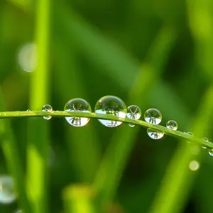 good morning images hd - beautiful morning image 014 - free HD download