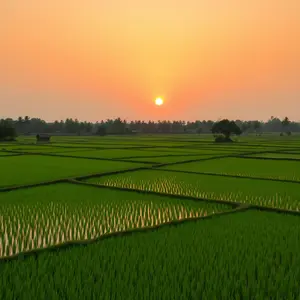 good morning images bengali - beautiful morning image 005 - free HD download