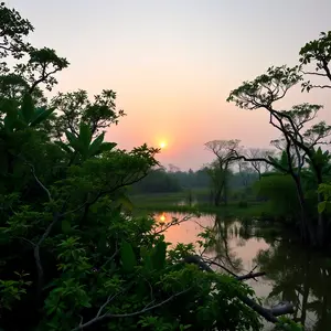 good morning images bengali - beautiful morning image 010 - free HD download