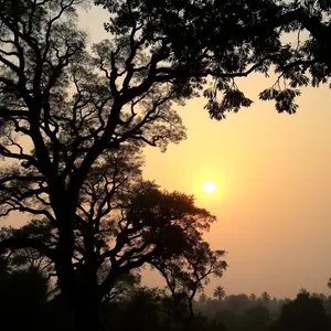 good morning images bengali - beautiful morning image 041 - free HD download