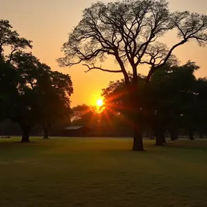 good morning images bengali - beautiful morning image 042 - free HD download