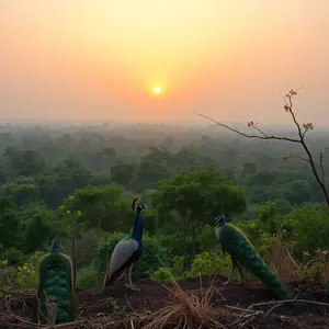 good morning images gujarati - beautiful morning image 007 - free HD download