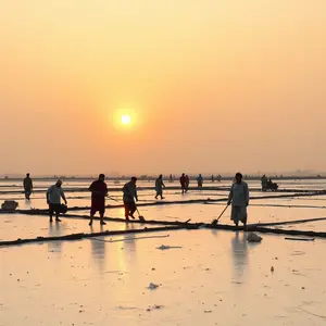 good morning images gujarati - beautiful morning image 049 - free HD download