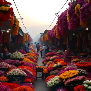 good morning images in hindi - beautiful morning image 014 - free HD download