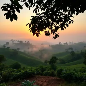 good morning images kannada - beautiful morning image 002 - free HD download