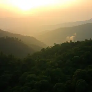 good morning images kannada - beautiful morning image 015 - free HD download