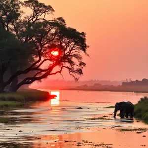 good morning images kannada - beautiful morning image 029 - free HD download