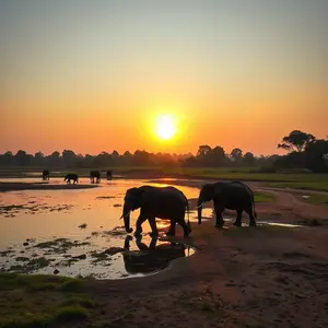 good morning images kannada - beautiful morning image 030 - free HD download