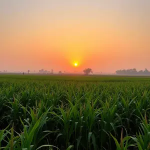 good morning images marathi - beautiful morning image 013 - free HD download