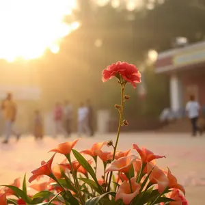 good morning images marathi - beautiful morning image 025 - free HD download