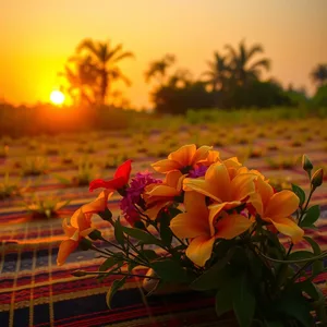 good morning images odia HD pic photo featuring elegant traditional Odia Sambalpuri weave with flowers at sunrise - good morning images in odia