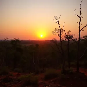 radiant good morning images odia image WhatsApp picture: sunrise over Odisha countryside, red laterite soil - good morning images in odia