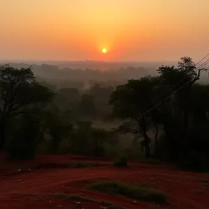 sal forest with sunrise over Odisha countryside (red laterite soil - good morning images in odia) — lovely good morning images odia wallpaper