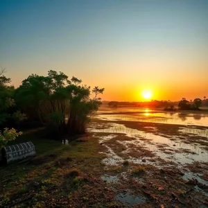 captivating sunrise over Bhitarkanika mangrove forest — good morning images odia image WhatsApp picture