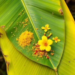 graceful morning turmeric and flowers on banana leaf — good morning images odia photo art