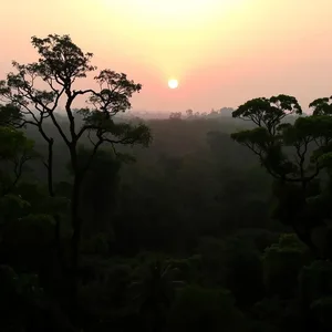 sunrise over Simlipal forest, uplifting good morning images odia wishes wallpaper
