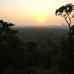 Odia tiger reserve - good morning images in odia with sunrise over Simlipal forest for good morning images odia HD pic