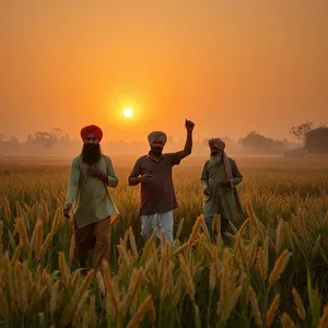 good morning images in punjabi greeting image featuring soothing Punjabi farmers with morning harvest celebration (Vaisakhi energy - good morning images in punjabi)