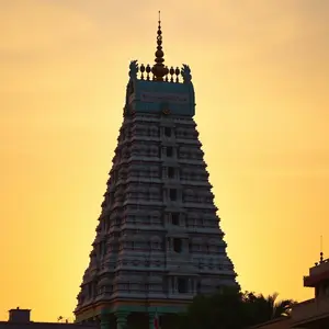 good morning images in tamil - beautiful morning image 006 - free HD download