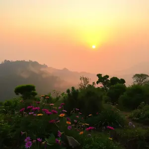 good morning images telugu - beautiful morning image 015 - free HD download