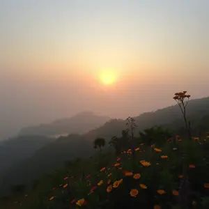 good morning images telugu - beautiful morning image 016 - free HD download