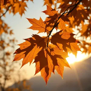 good morning urdu images with golden morning and Islamic poetry - HD share for good morning images in urdu wallpaper