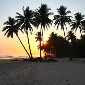 good morning images malayalam - beautiful morning image 006 - free HD download