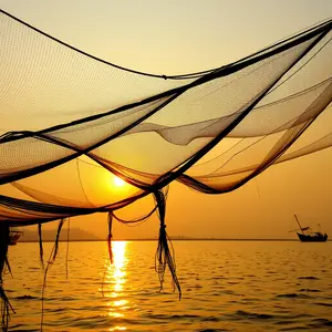 good morning images malayalam - beautiful morning image 018 - free HD download