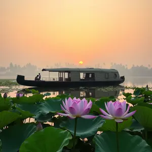 good morning images malayalam - beautiful morning image 028 - free HD download