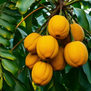 good morning images malayalam - beautiful morning image 037 - free HD download