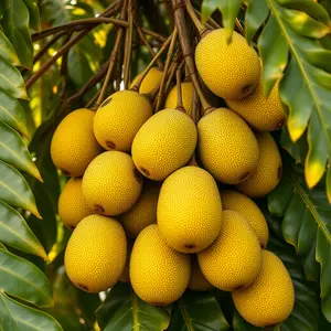 good morning images malayalam - beautiful morning image 038 - free HD download