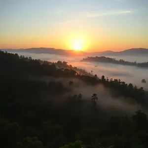 good morning images malayalam - beautiful morning image 039 - free HD download