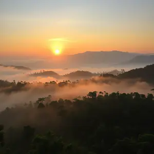 good morning images malayalam - beautiful morning image 040 - free HD download