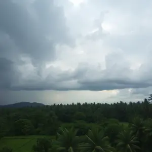 good morning images malayalam - beautiful morning image 050 - free HD download