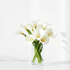 good morning images with flowers and fresh daisies with dewdrops - free HD wallpaper