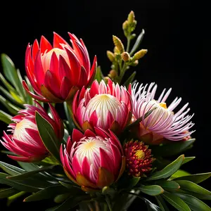 good morning images with flowers - beautiful morning image 015 - free HD download